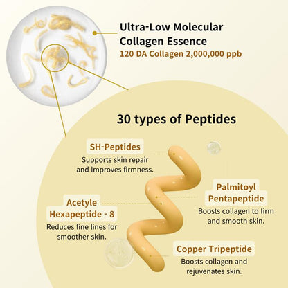 Deep Collagen Silk Ampo | Silk Peptide Serum